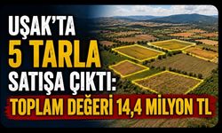 Uşak’ta 5 Tarla Satışa Çıktı: Toplam Değeri 14,4 Milyon TL