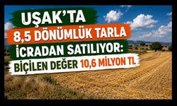 Uşak’ta 8,5 Dönümlük Tarla İcradan Satılıyor: Biçilen Değer 10,6 Milyon TL