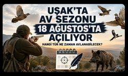 Uşak’ta Av Sezonu 18 Ağustos’ta Açılıyor, Hangi Tür Ne Zaman Avlanabilecek?