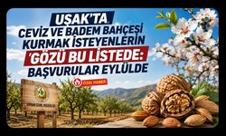 Uşak’ta Ceviz ve Badem Bahçesi Kurmak İsteyenlerin Gözü Bu Listede: Başvurular Eylülde