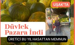 Uşak’ta Düvlek Pazara İndi: Üretici Bu Yıl Hasattan Memnun