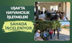 Uşak’ta Hayvancılık İşletmeleri Sahada İnceleniyor: Üreticinin Sorunları Yerinde Dinleniyor