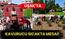 Uşak’ta Kavurucu Sıcakta Mesai! Belediye İşçileri Sahadaki Çalışmalarını Sürdürüyor