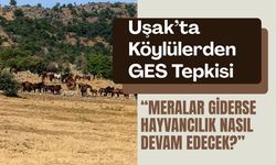Uşak’ta Köylülerden GES Tepkisi: “Meralar Giderse Hayvancılık Nasıl Devam Edecek?”