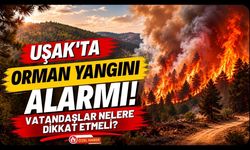 Uşak'ta Orman Yangını Alarmı! Vatandaşlar Nelere Dikkat Etmeli?