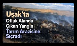 Uşak’ta Otluk Alanda Çıkan Yangın Tarım Arazisine Sıçradı