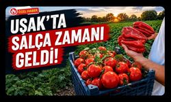 Uşak’ta Salça Zamanı Geldi! Sivaslı’nın Domates ve Biberleri Pazara Çıktı