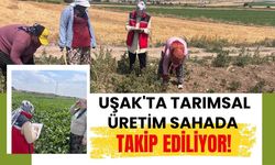 Uşak'ta Tarımsal Üretim Sahada Takip Ediliyor! Veriye Dayalı Planlama İçin Çalışmalar Sürüyor