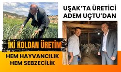 Uşak’ta Üretici Adem Uçtu’dan İki Koldan Üretim: Hem Hayvancılık Hem Sebzecilik