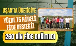 Uşak’ta Üreticiye Yüzde 75 Hibeli Fide Desteği! 260 Bin Fide Dağıtıldı