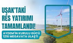 Uşak'taki RES Yatırımı Tamamlandı! Aydem'in Kurulu Gücü 1216 Megavata Ulaştı