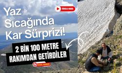 Yaz Sıcağında Kar Sürprizi! 2 bin 100 Metreden Rakımdan Getirdiler