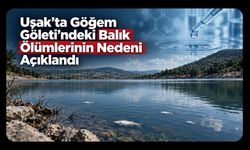 Uşak’ta Göğem Göleti’ndeki Balık Ölümlerinin Nedeni Açıklandı