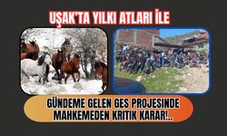 Uşak’ta Yılkı Atlarıyla Gündeme Gelen GES Projesinde Mahkemeden Kritik Karar