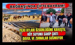Bağbaşı'nda Çifte Bayram! Yılkı Atları Özgürlüğüne Kavuştu, Köy Suyuna Sahip Çıktı, Davul ve Zurnalar Susmuyor