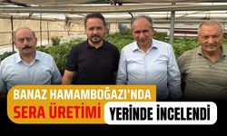 Banaz Hamamboğazı’nda Sera Üretimi Yerinde İncelendi