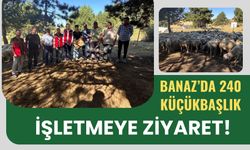 Banaz’da 240 Küçükbaşlık İşletmeye Ziyaret! Genç Üreticinin Hedefi Dikkat Çekti
