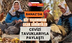 Banaz’da Köy Yaşamından Sıcak Görüntüler, Cevizi Tavuklarıyla Paylaştı