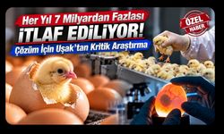 Her Yıl 7 Milyardan Fazlası İtlaf Ediliyor! Çözüm İçin Uşak’tan Kritik Araştırma