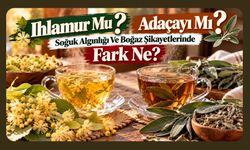 Ihlamur Mu Adaçayı Mı? Soğuk Algınlığı Ve Boğaz Şikayetlerinde Fark Ne?
