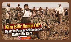 Kim Bilir Hangi Yıl? Uşak’ta Pancar Sökümünden Kalan Bir Kare
