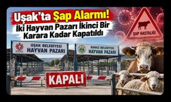 Uşak’ta Şap Alarmı! İki Hayvan Pazarı İkinci Bir Karara Kadar Kapatıldı