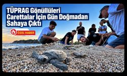 TÜPRAG Gönüllüleri Carettalar İçin Gün Doğmadan Sahaya Çıktı