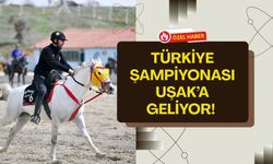 Türkiye Şampiyonası Uşak’a Geliyor! Ciritte Çeyrek Final Heyecanı 3 Gün Sürecek