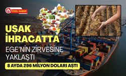 Uşak İhracatta Ege’nin Zirvesine Yaklaştı: 8 Ayda 296 Milyon Doları Aştı