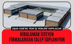 Uşak OSB’de Yeni İş Yerleri Yapılacak: Kiralamak İsteyen Firmalardan Talep Toplanıyor