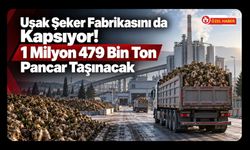 Uşak Şeker Fabrikasını da Kapsıyor! 1 Milyon 479 Bin Ton Pancar Taşınacak