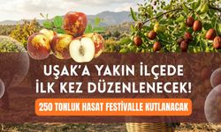 Uşak’a Yakın İlçede İlk Kez Düzenlenecek! 250 Tonluk Hasat Festivalle Kutlanacak