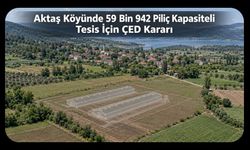 Uşak’ın Aktaş Köyünde 59 Bin 942 Piliç Kapasiteli Tesis İçin ÇED Kararı