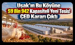 Uşak’ın Bu Köyüne 59 Bin 942 Kapasiteli Yeni Tesis! ÇED Kararı Çıktı