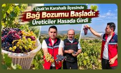 Uşak’ın Karahallı İlçesinde Bağ Bozumu Başladı: Üreticiler Hasada Girdi