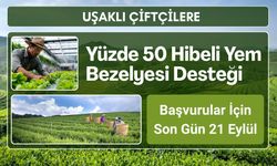 Uşaklı Çiftçilere Yüzde 50 Hibeli Yem Bezelyesi Desteği, Başvurular İçin Son Gün 21 Eylül
