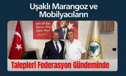 Uşaklı Marangoz ve Mobilyacıların Talepleri Federasyon Gündeminde