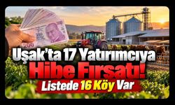 Uşak’ta 17 Yatırımcıya Hibe Fırsatı! Listede 16 Köy Var