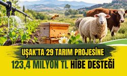 Uşak’ta 29 Tarım Projesine 123,4 Milyon TL Hibe Desteği