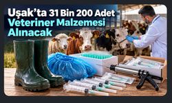 Uşak’ta 31 Bin 200 Adet Veteriner Malzemesi Alınacak