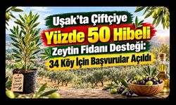 Uşak’ta Çiftçiye Yüzde 50 Hibeli Zeytin Fidanı Desteği: 34 Köy İçin Başvurular Açıldı
