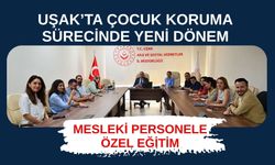 Uşak’ta Çocuk Koruma Sürecinde Yeni Dönem, Mesleki Personele Özel Eğitim