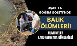 Uşak’ta Göğem Göleti’nde Balık Ölümleri! Numuneler Laboratuvara Gönderildi