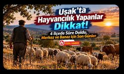 Uşak’ta Hayvancılık Yapanlar Dikkat! 4 İlçede Süre Doldu, Merkez ve Banaz İçin Son Günler