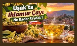 Uşak’ta Ihlamur Çayı Ne Kadar Faydalı?