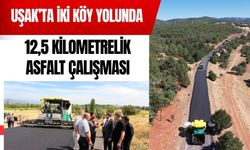 Uşak’ta İki Köy Yolunda 12,5 Kilometrelik Asfalt Çalışması