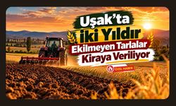 Uşak’ta İki Yıldır Ekilmeyen Tarlalar Kiraya Veriliyor