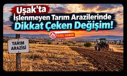 Uşak’ta İşlenmeyen Tarım Arazilerinde Dikkat Çeken Değişim!