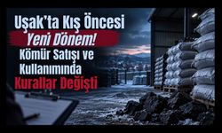Uşak’ta Kış Öncesi Yeni Dönem! Kömür Satışı ve Kullanımında Kurallar Değişti