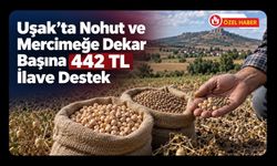 Uşak’ta Nohut ve Mercimeğe Dekar Başına 442 TL İlave Destek